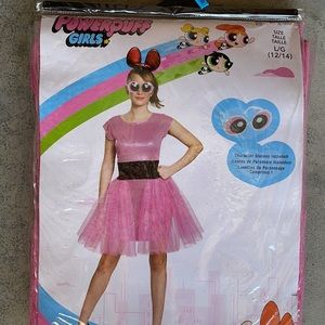 PowerPuff Girls Blossom Adult Costume! New!